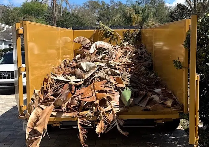 Dumpster Rental & Junk Removal in Geneva, FL