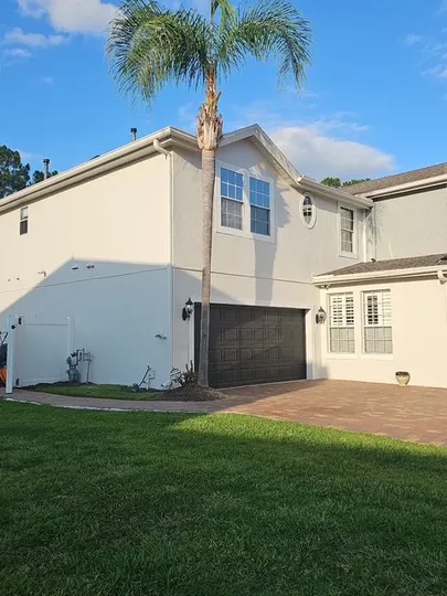 Manicured residential home landscaping featuring expertly pruned palm trees.