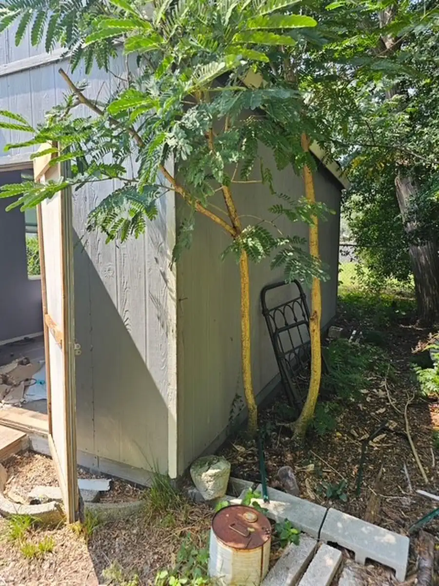 Backyard shed removed by Champs in Eustis, FL