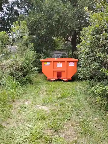 Champs dumpster set at the end of a narrow mowed grass corridor between heavy brush on an Oviedo property