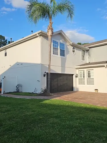 Clermont driveway palms after trimming